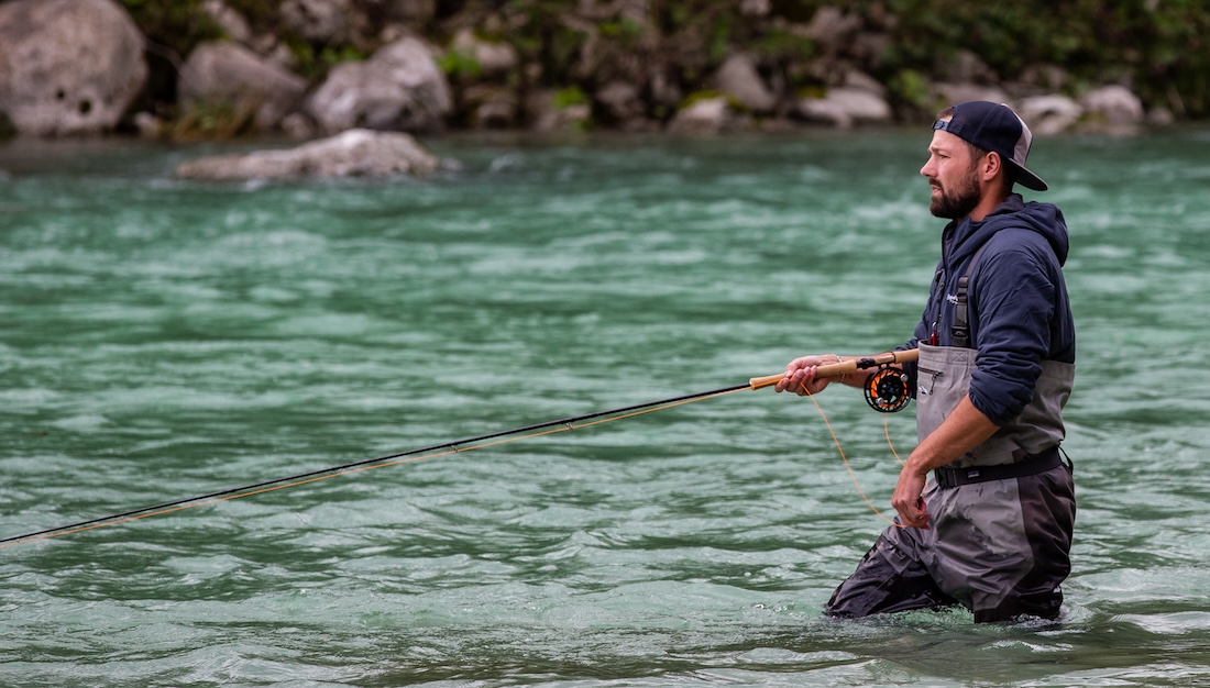 P-28565_Thomas-Thomas_DNA_Switch_2