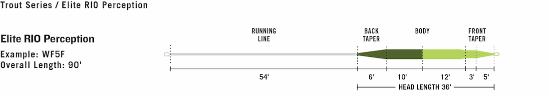 Rio_Elite_Perception_3