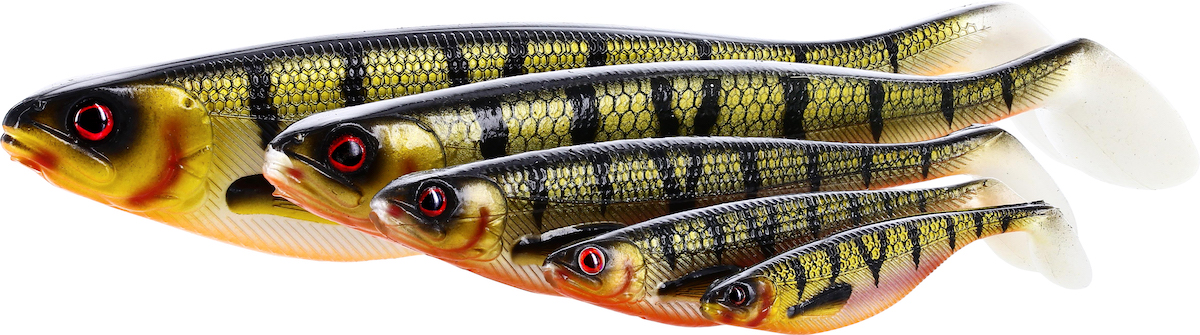 P023-ShadTeez-Headline