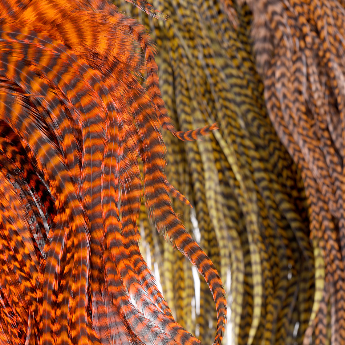 P-21430_hareline_half-grizzly-predator-saddle_titel Hareline Half Grizzly Predator Saddle