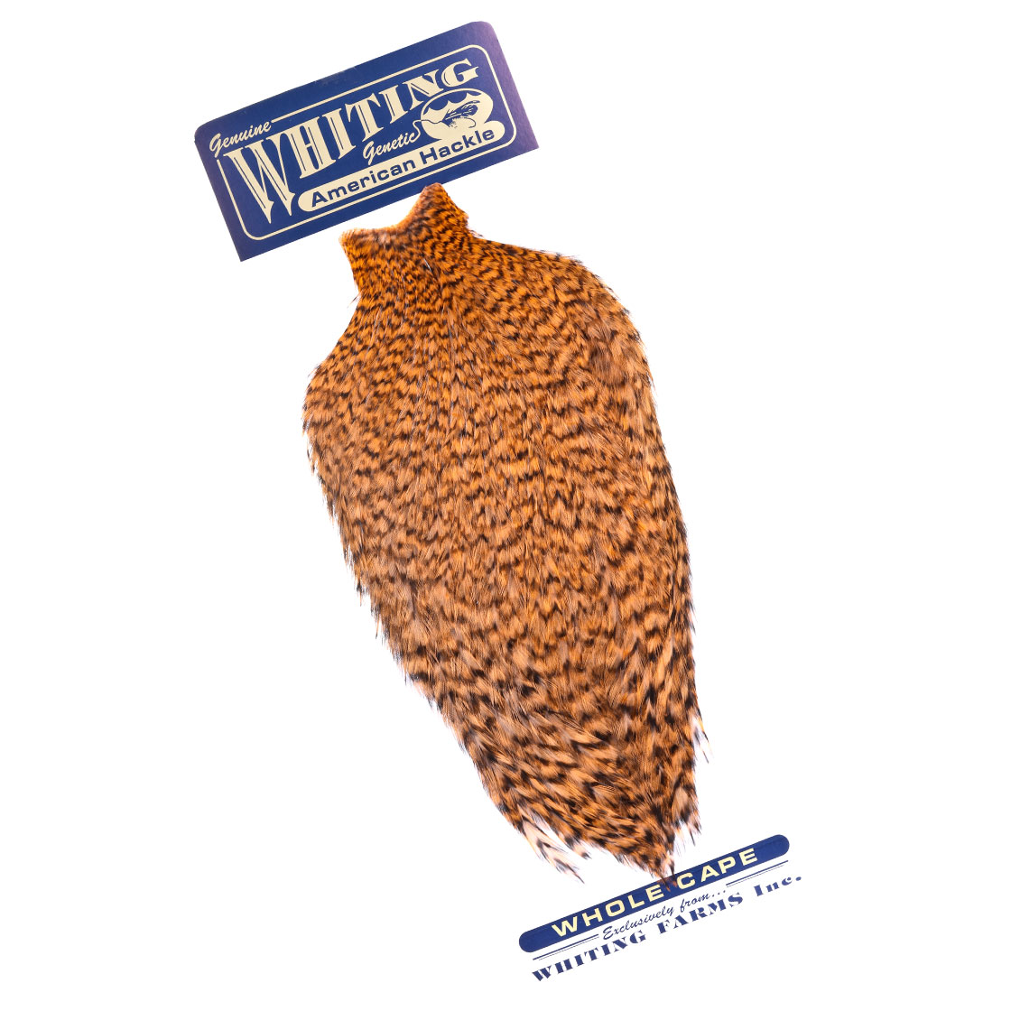 grizzly dyed shrimp orange