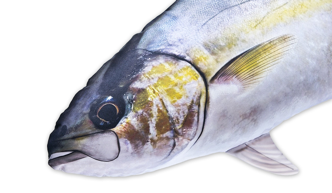 P-29190_Fischkissen_Kuscheltier_Amberjack_105cm_2