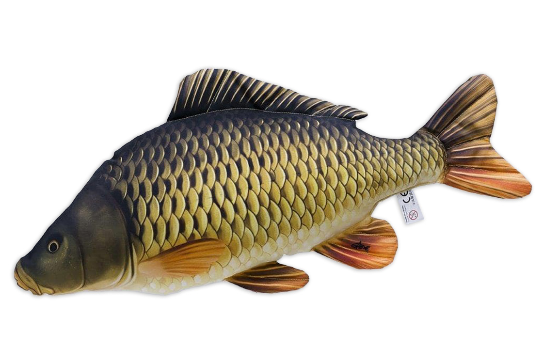 Fischkissen_Kuscheltier_Schuppenkarpfen_1 Fish Pillow Soft Toy Common Carp 64cm
