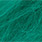 green kingfisher