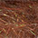 12 brown dark