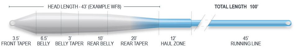 P-25780_Airflo_Cold_Salt_Universal_Fliegenschnur_2
