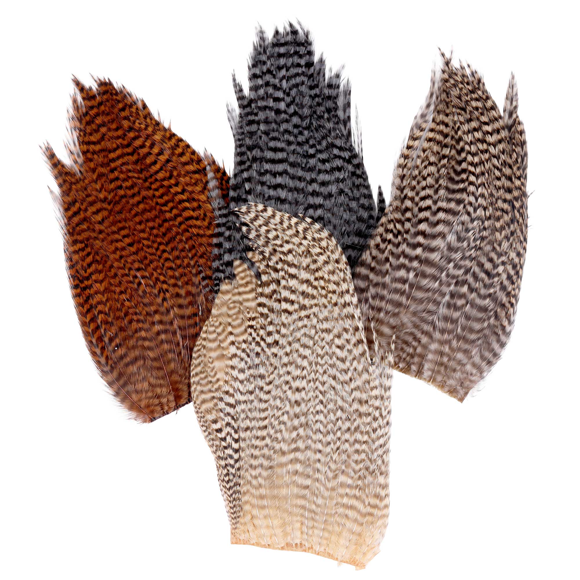 Wapsi Ewing Grizzly Deceiver Patch Premium Quality