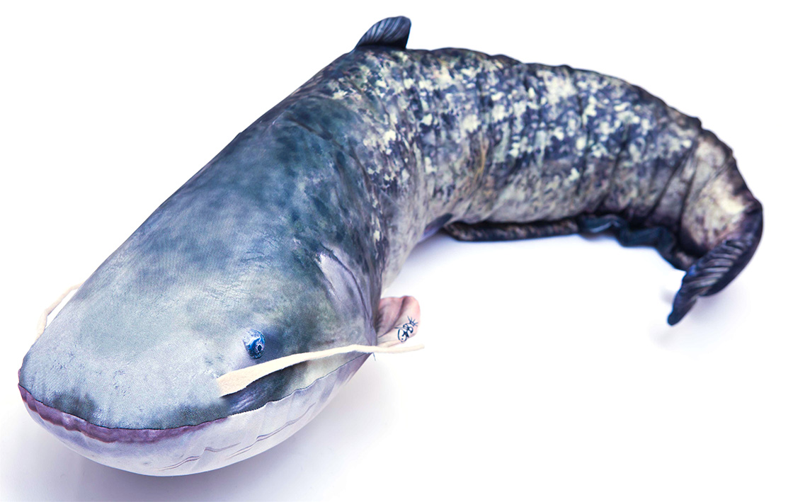 P-29197_Fischkissen_Kuscheltier_Wels_115cm_1cd4EPXCcaSF82