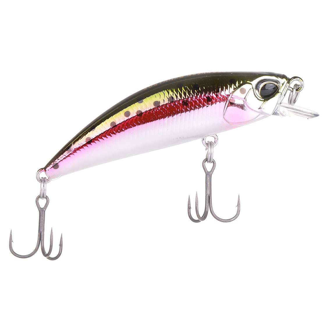 Rainbow Trout