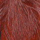 pardo dyed orange