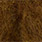 brown olive