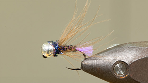 Tying Video Purple Glo Brite Pheasant Tail Jig
