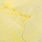 09 pale yellow