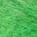 chartreuse
