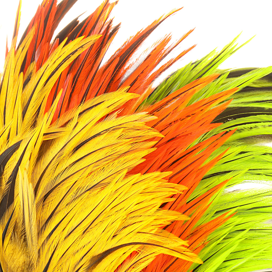 P-18884_future-fly_freshwater_rooster-saddle_titel Future Fly Freshwater Rooster Saddle