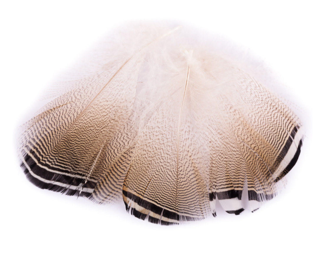 Wapsi Wood Duck Black & White Flank