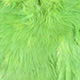 white dyed insect green