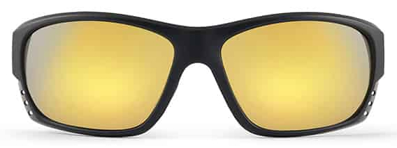 P-27969_Fortis_Eyewear_Polarisationsbrille_Gold_