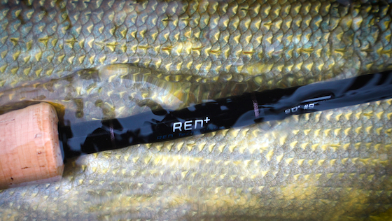 adh-fishing Test: Nam REN+ Salt Fly Rod