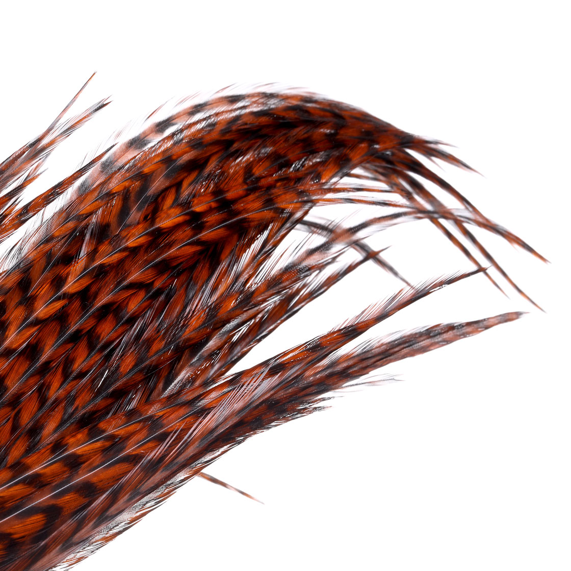 P-25426_Whiting-Pro-Grade-1_2-Cape_detail_2