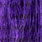 purple 12