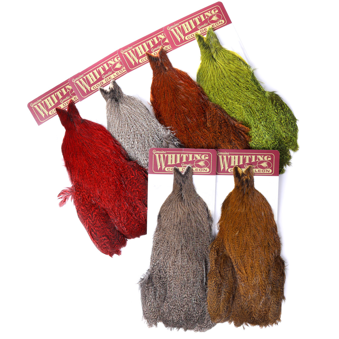 Whiting Coq de Leon Hen Cape