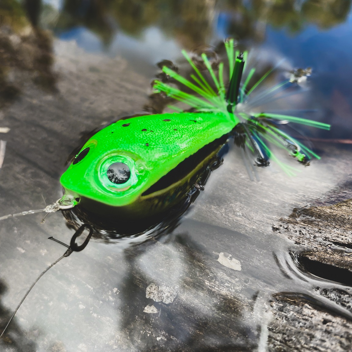 P-20472_Rapala_BX_Skitter_Frog_2