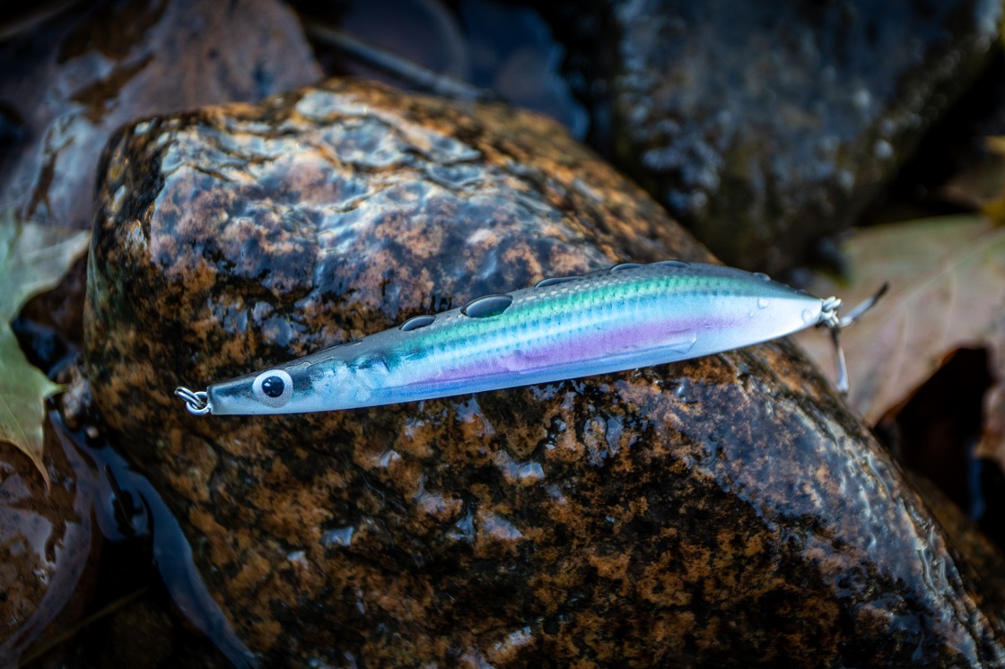 Rapala Kallan