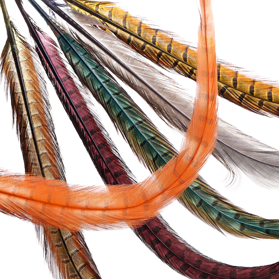 Veniard Cock Pheasant Center Tails Feathers