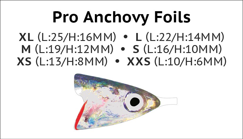 P-27706-Anchovy_Foiels_Size_