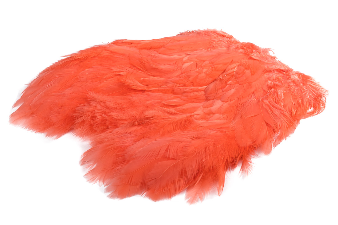 04584_soft_hackle_peach peach