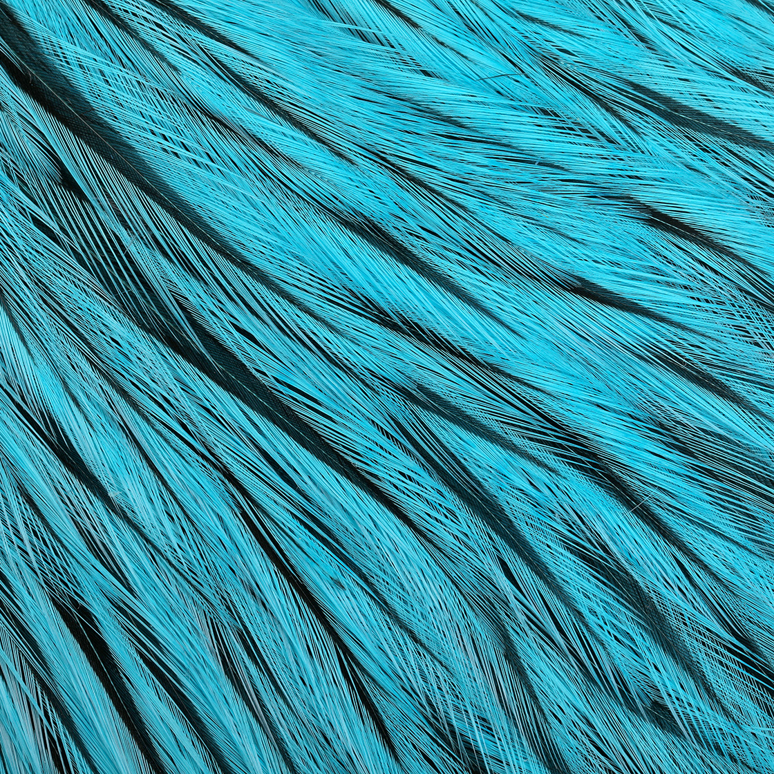 P-29049_Whiting-Brahma-Rooster-Cape_detail