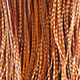 barred dark ginger