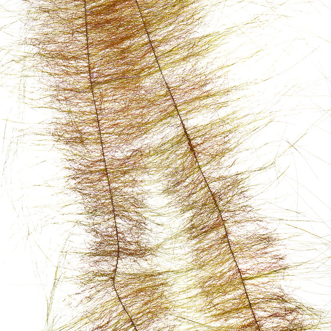 P-26940-5_Enrico-Puglisi-Flies-EP-Craftfur-Brush-3_medium-olive-brown