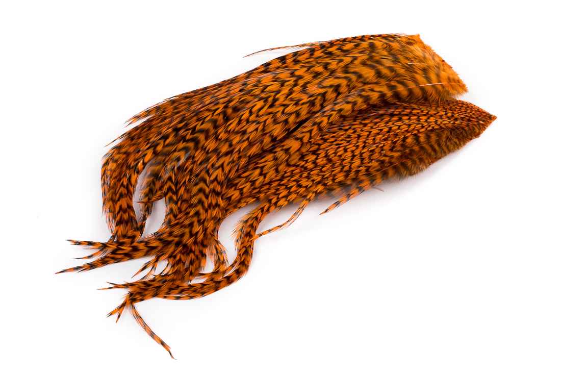 grizzly burnt orange