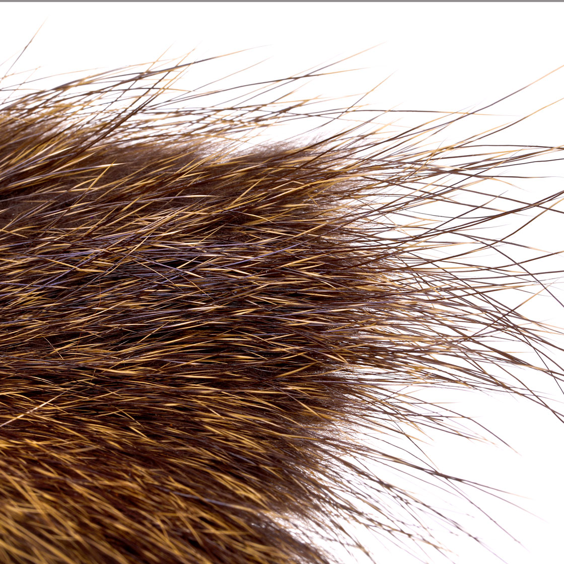 P-09058_Nutria-Hair-Fellstu-cke-Big-Patch_detail
