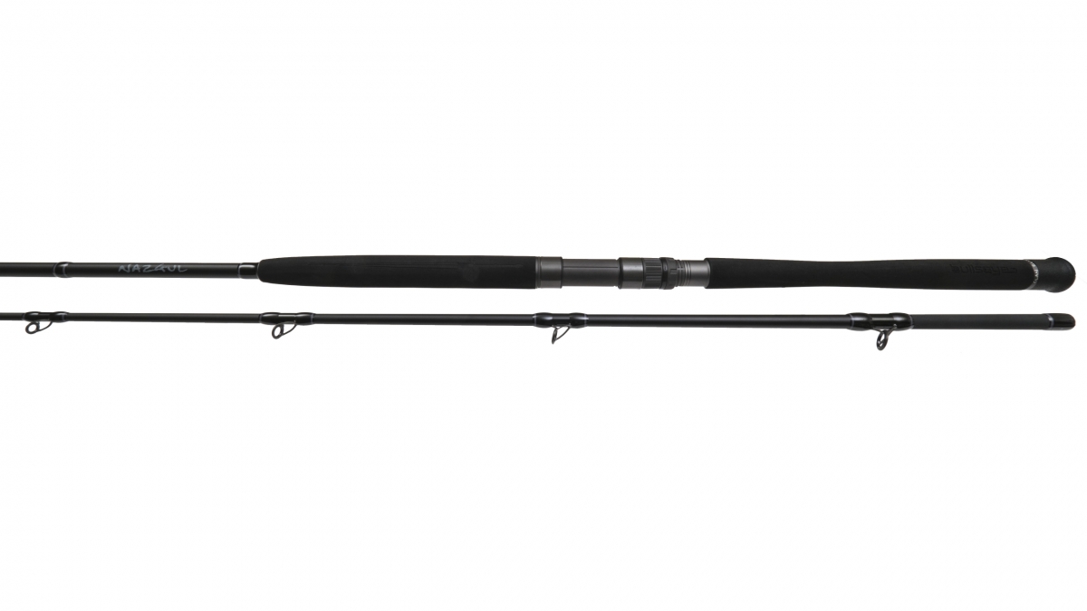 P-17505_Bullseye_Nazgul_260_30lbs_Wallerrute_1 Bullseye Nazgul 260 30lbs Wels Catfish Spinning Rod