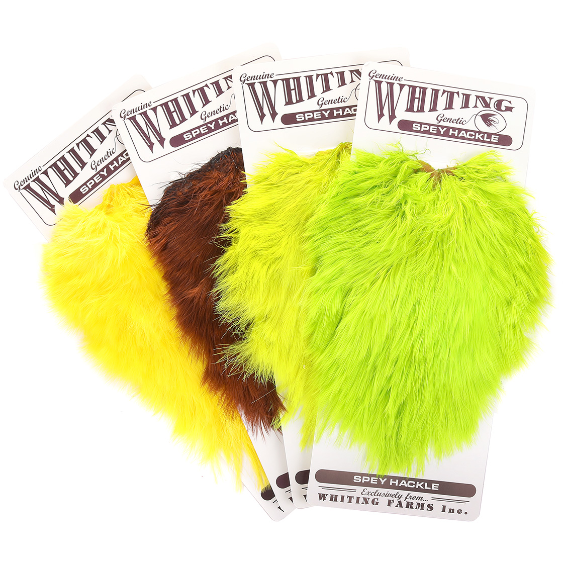 P-25403_Whiting-Spey-Hackle-Hen-Saddle Whiting Spey Hackle Hen Saddle Grizzly dyed Shell Pink