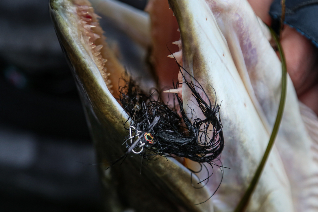 adh-fishing_Hechtreamer_Pike_Flash_Black_lifestyle_