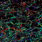 05 black green/red-violet