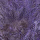 speckled dyed lavender