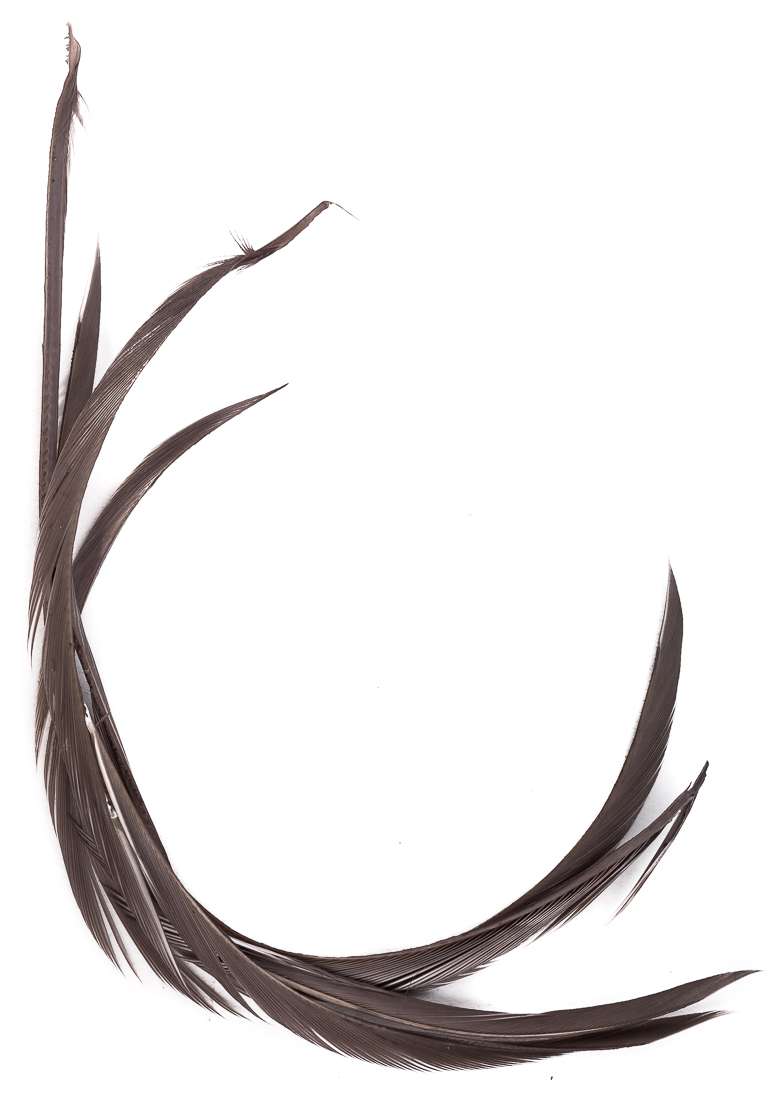 veniard_goose_biots_blue_dunHXKMJLmd6QsfO blue dun