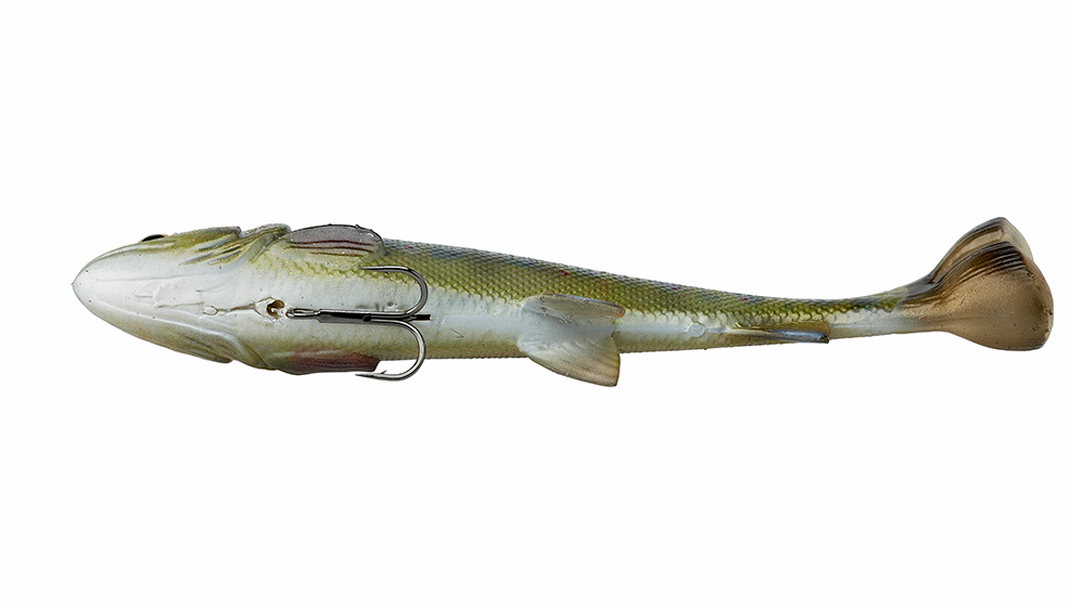 P-23731_Savage-Gear_4D_Line_Thru_Pulse_Tail_Trout_titel_2 Savage Gear 4D Line Thru Pulse Tail Trout perch