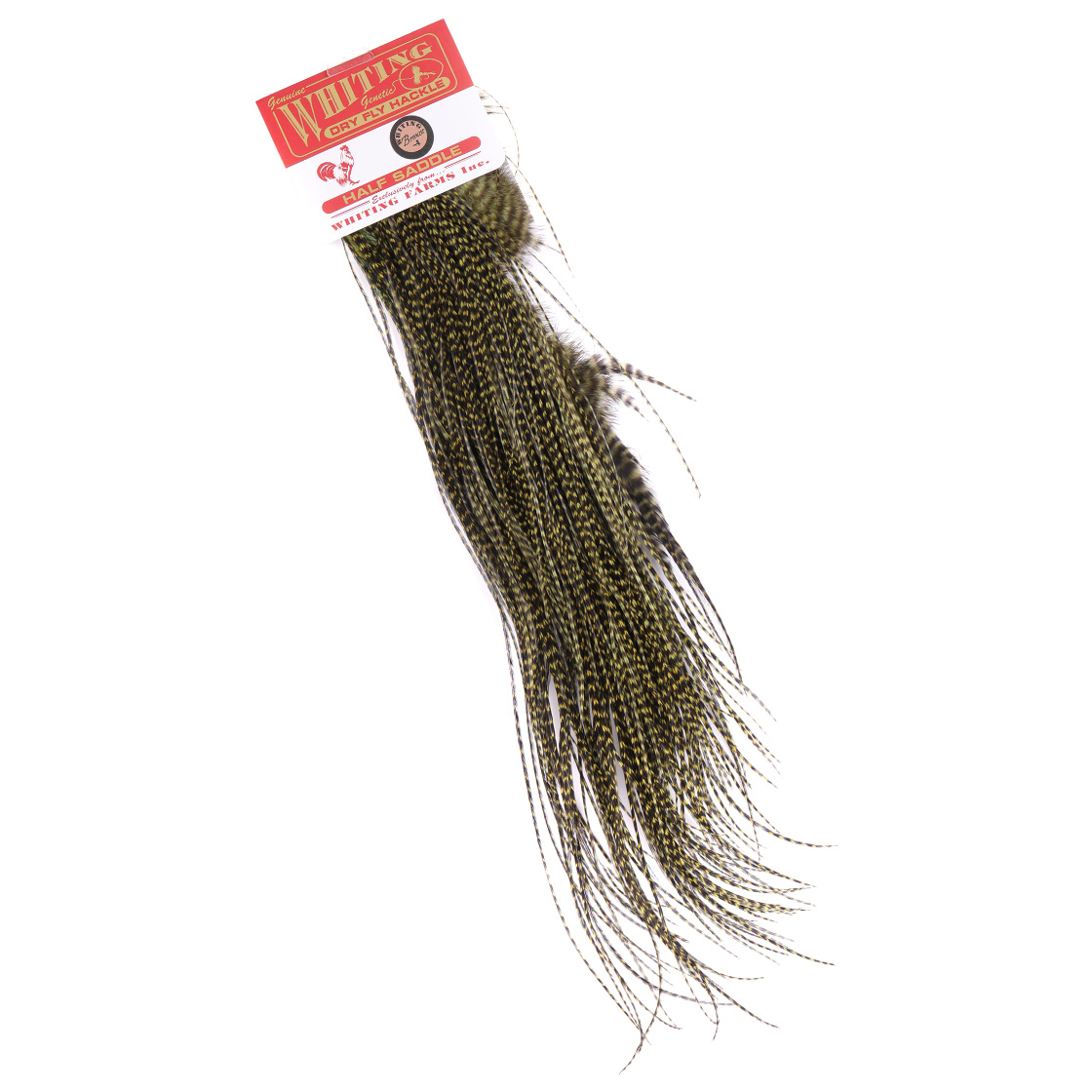 grizzly olive