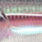 real glass minnow