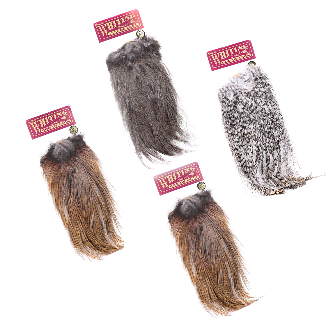 Whiting Coq De Leon Gold Grade Saddle  Whiting Coq De Leon Gold Grade Saddle