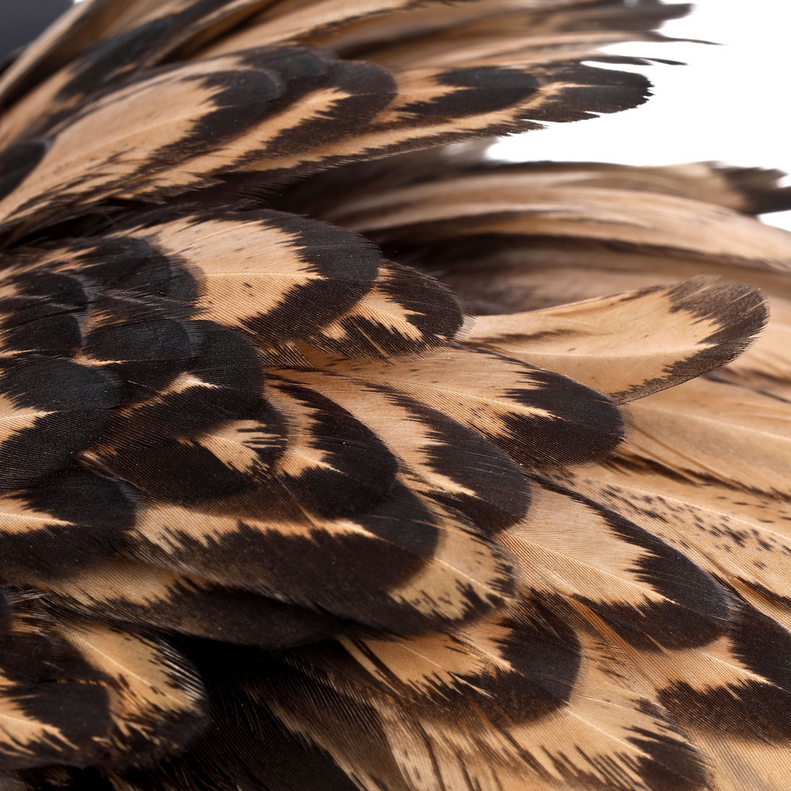 P-25378_Whiting-American-Hen-Saddle_detail