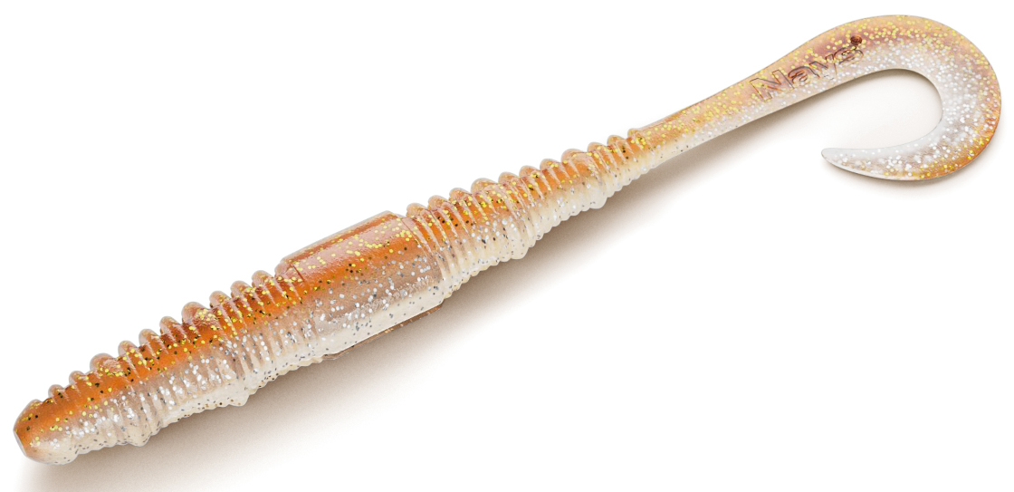 P-21579_Nays_RVN_C06 C-06