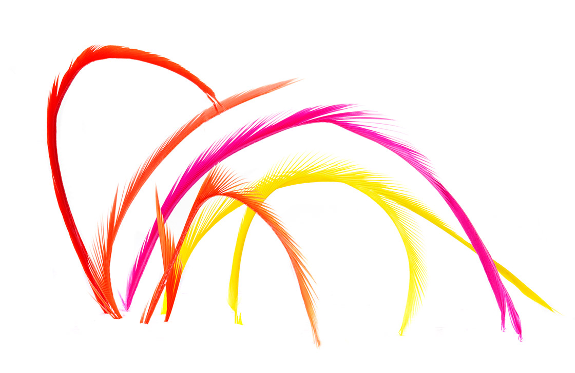 P-05107-veniard-goose-biots-mixed-fluo fluo