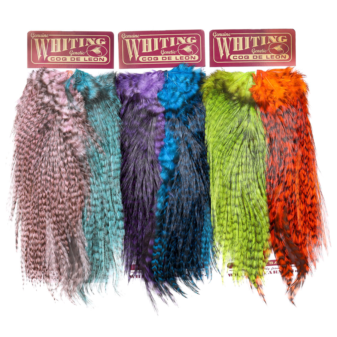 P-25389_Whiting-CDL-Predator-Pack_titel Whiting Coq de Leon  Predator Pack